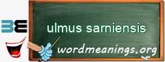 WordMeaning blackboard for ulmus sarniensis